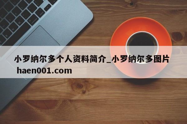 小罗纳尔多个人资料简介_小罗纳尔多图片 haen001.com